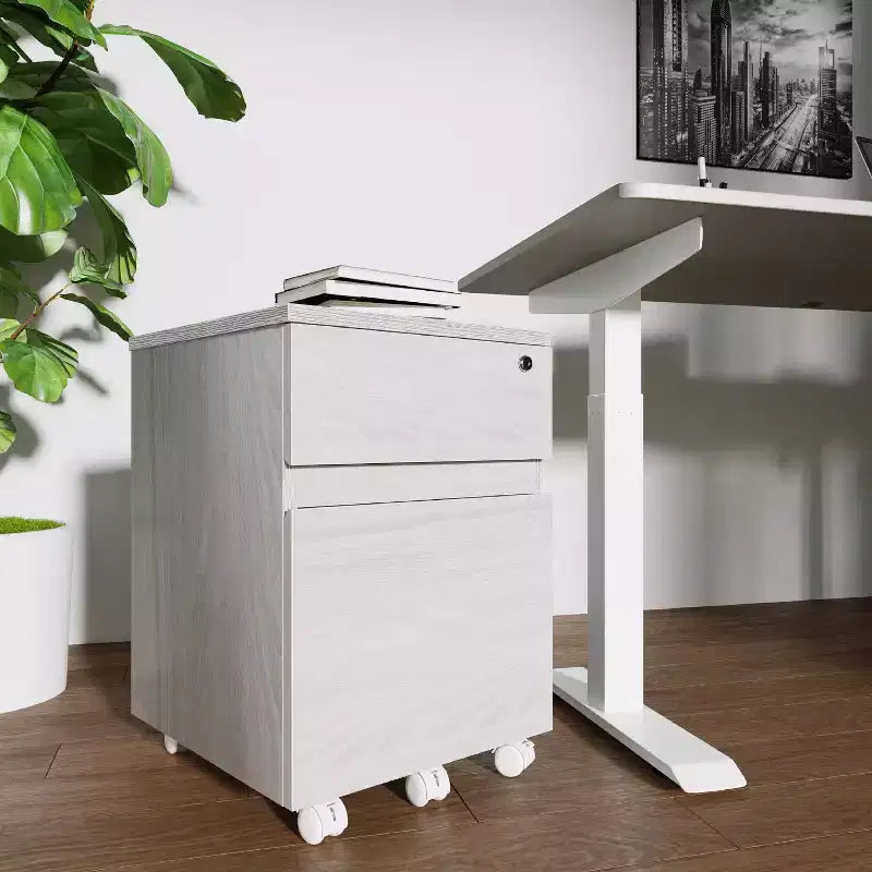 Rolling 2-Drawer Vertical File Cabinet with Lock – Gray