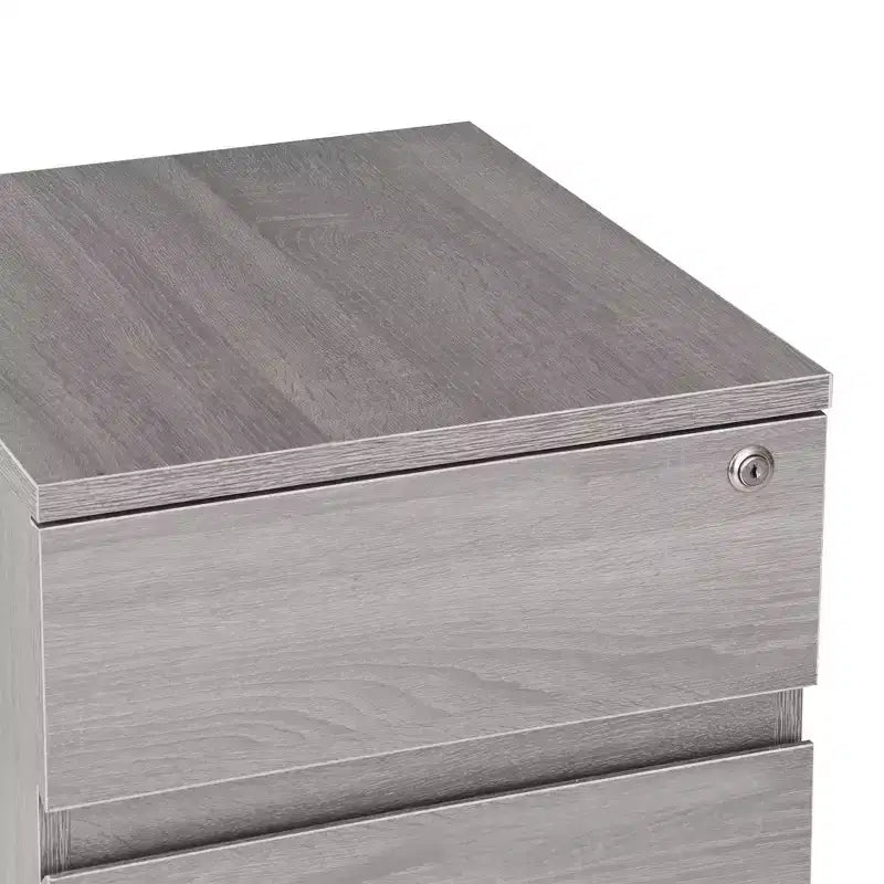 Rolling 2-Drawer Vertical File Cabinet with Lock – Gray