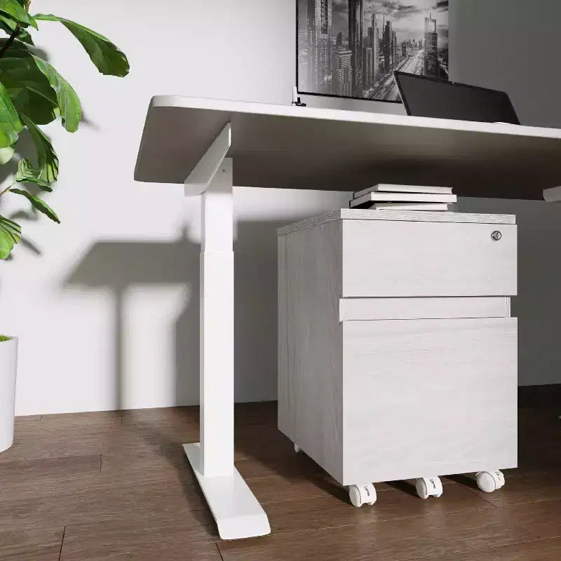 Rolling 2-Drawer Vertical File Cabinet with Lock – Gray