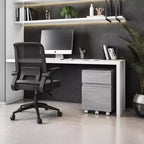 Rolling 2-Drawer Vertical File Cabinet with Lock – Gray