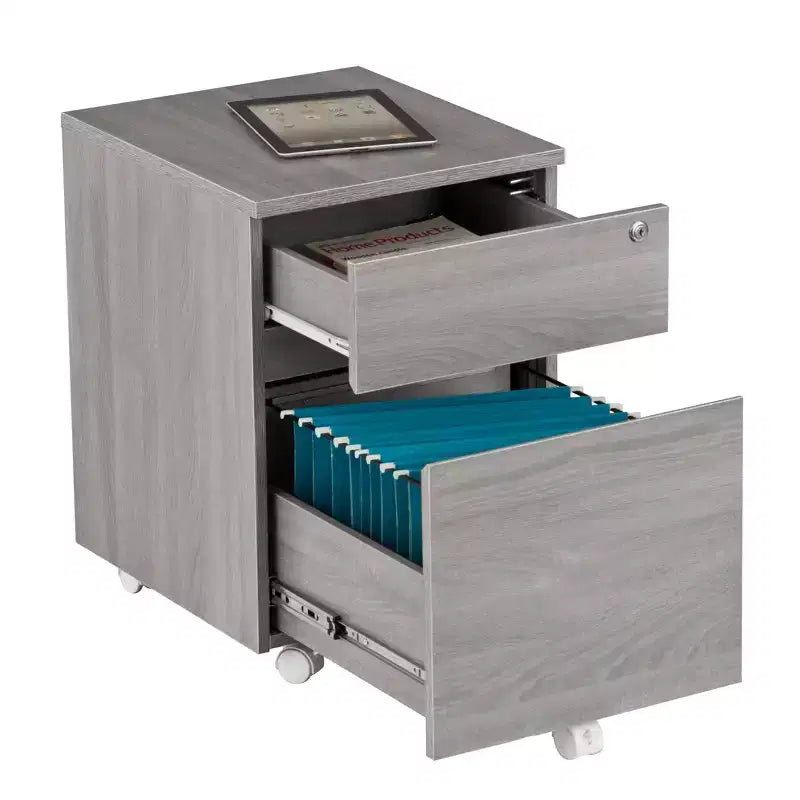 Rolling 2-Drawer Vertical File Cabinet with Lock – Gray