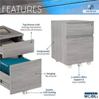Rolling 2-Drawer Vertical File Cabinet with Lock – Gray