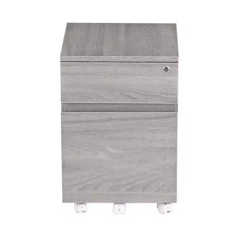 Rolling 2-Drawer Vertical File Cabinet with Lock – Gray
