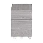 Rolling 2-Drawer Vertical File Cabinet with Lock – Gray