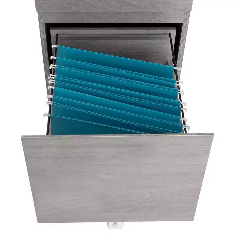 Rolling 2-Drawer Vertical File Cabinet with Lock – Gray