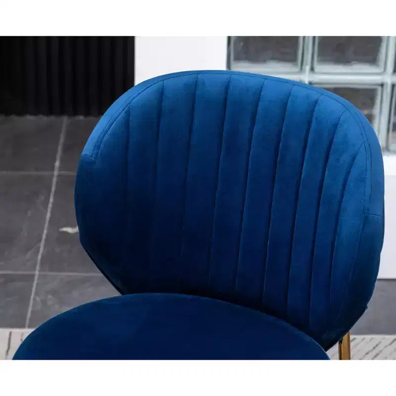 Contemporary Velvet Upholstery Dining Chair, Blue