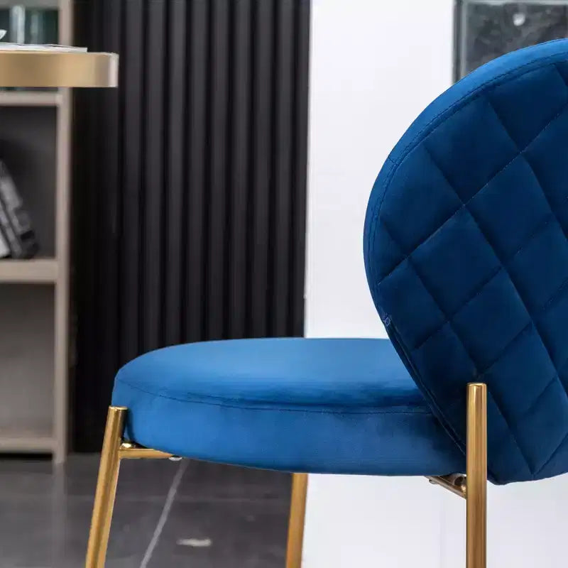 Contemporary Velvet Upholstery Dining Chair, Blue