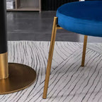 Contemporary Velvet Upholstery Dining Chair, Blue