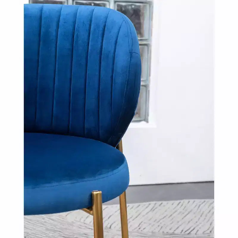 Contemporary Velvet Upholstery Dining Chair, Blue
