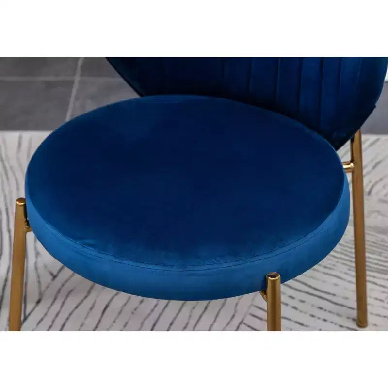 Contemporary Velvet Upholstery Dining Chair, Blue